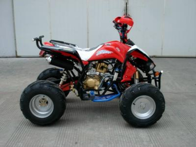 Das neue Topmodell Sommer 2009 - Motorraeder und Teile nach Marken - Lüdenscheid